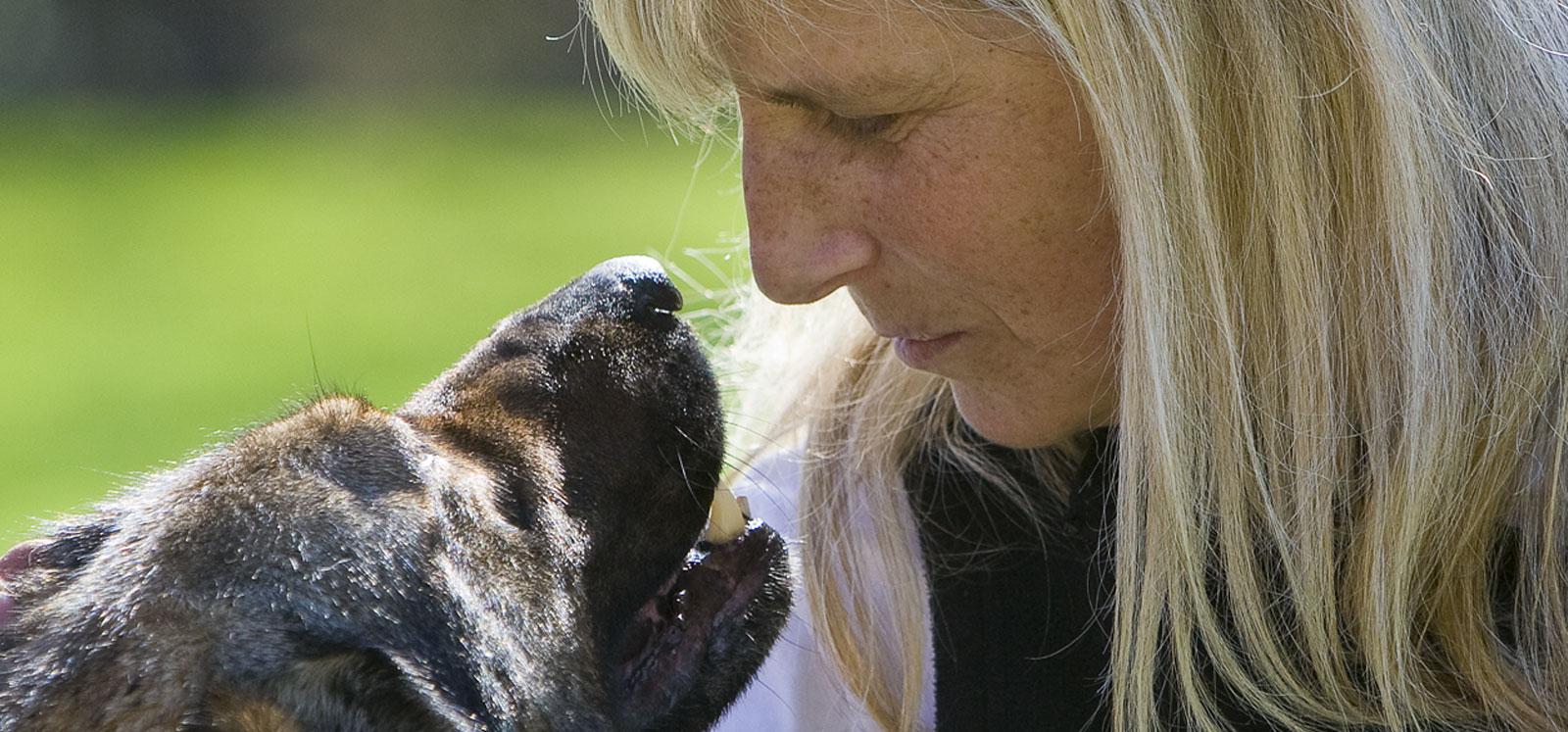 Zuchtstätte für Deutsche Schäferhunde "vom Tatzelwurm"