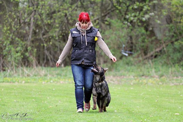 Deutsche Schäferhunde von der Gewürzwiese