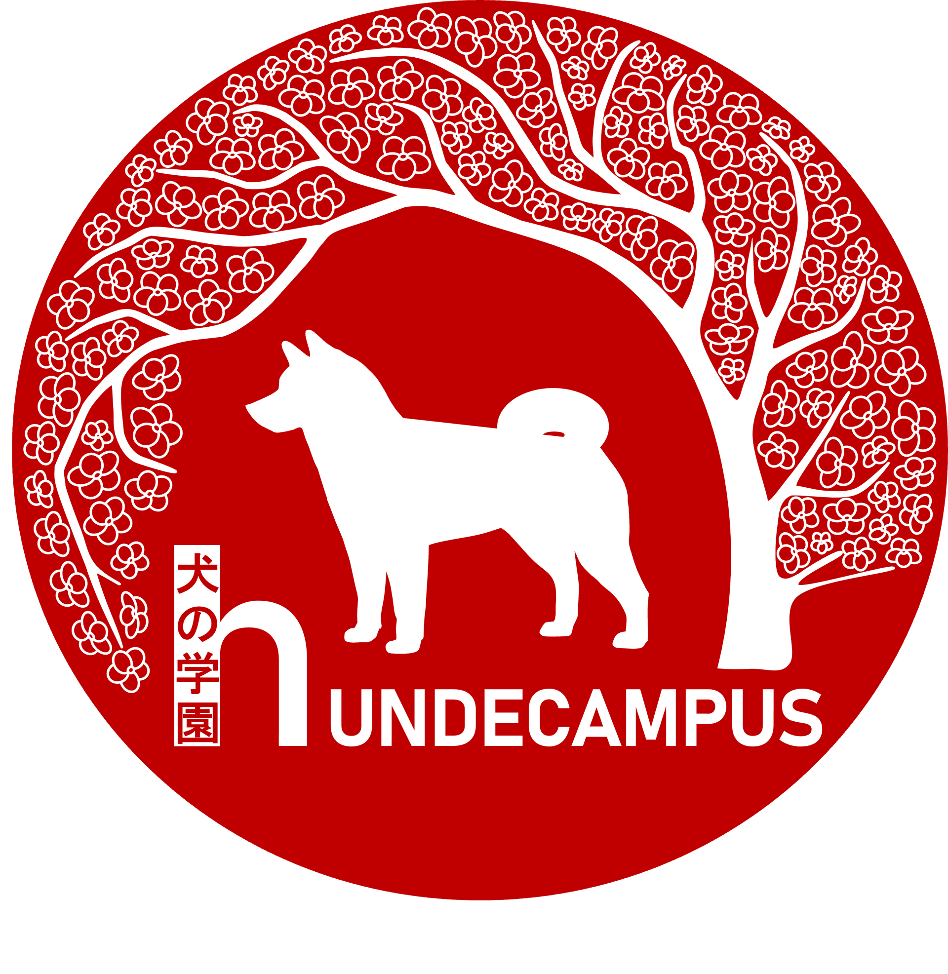 Shiba Inu vom hundecampus