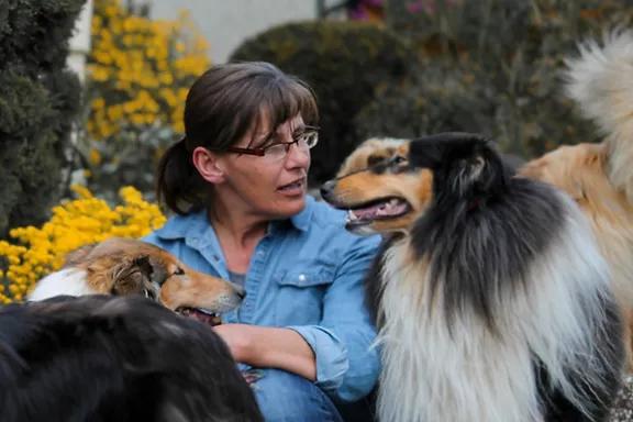 Collies of Yellow River 