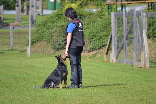 Of Warrigals Spirits