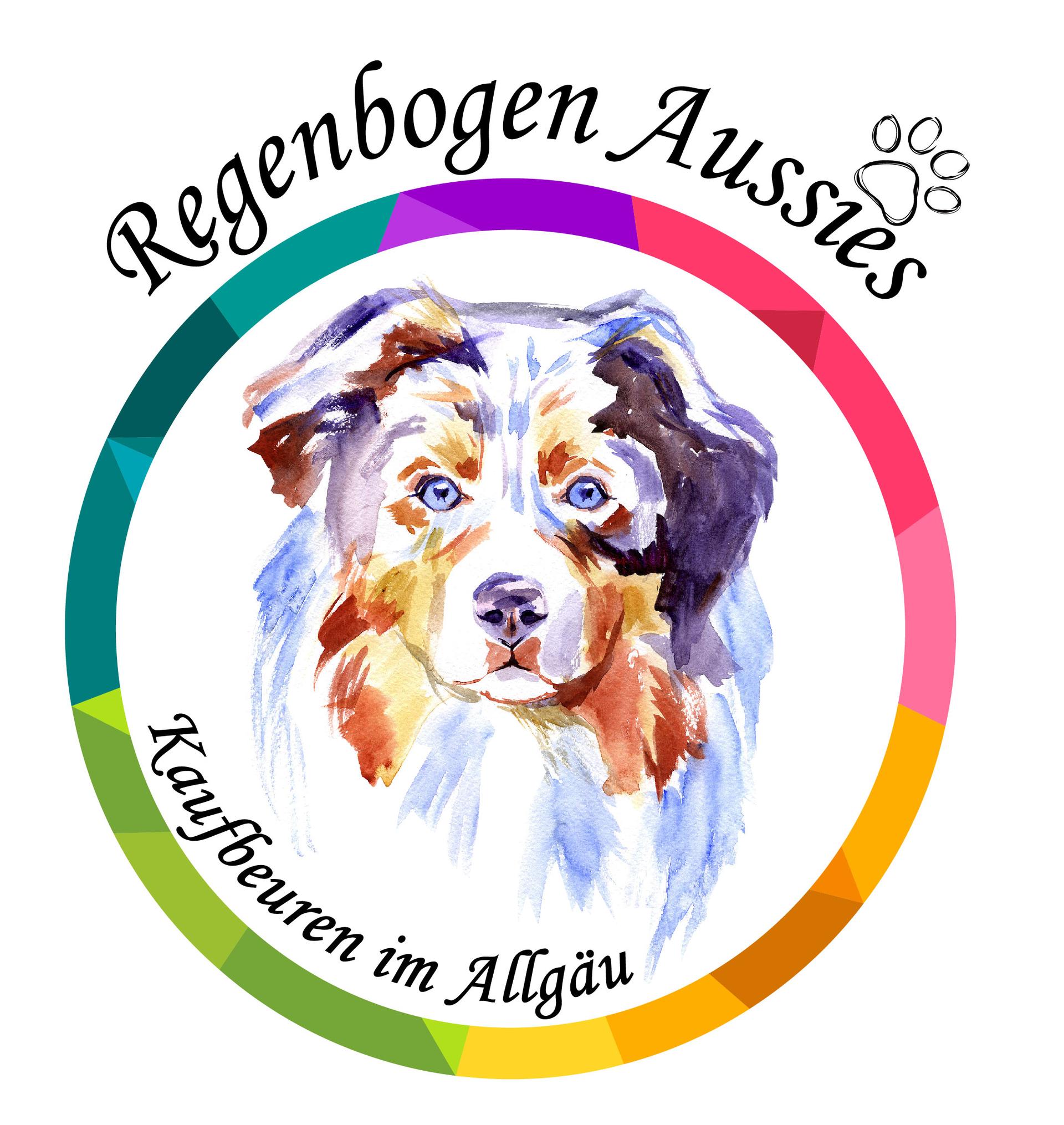 Regenbogen Aussies
