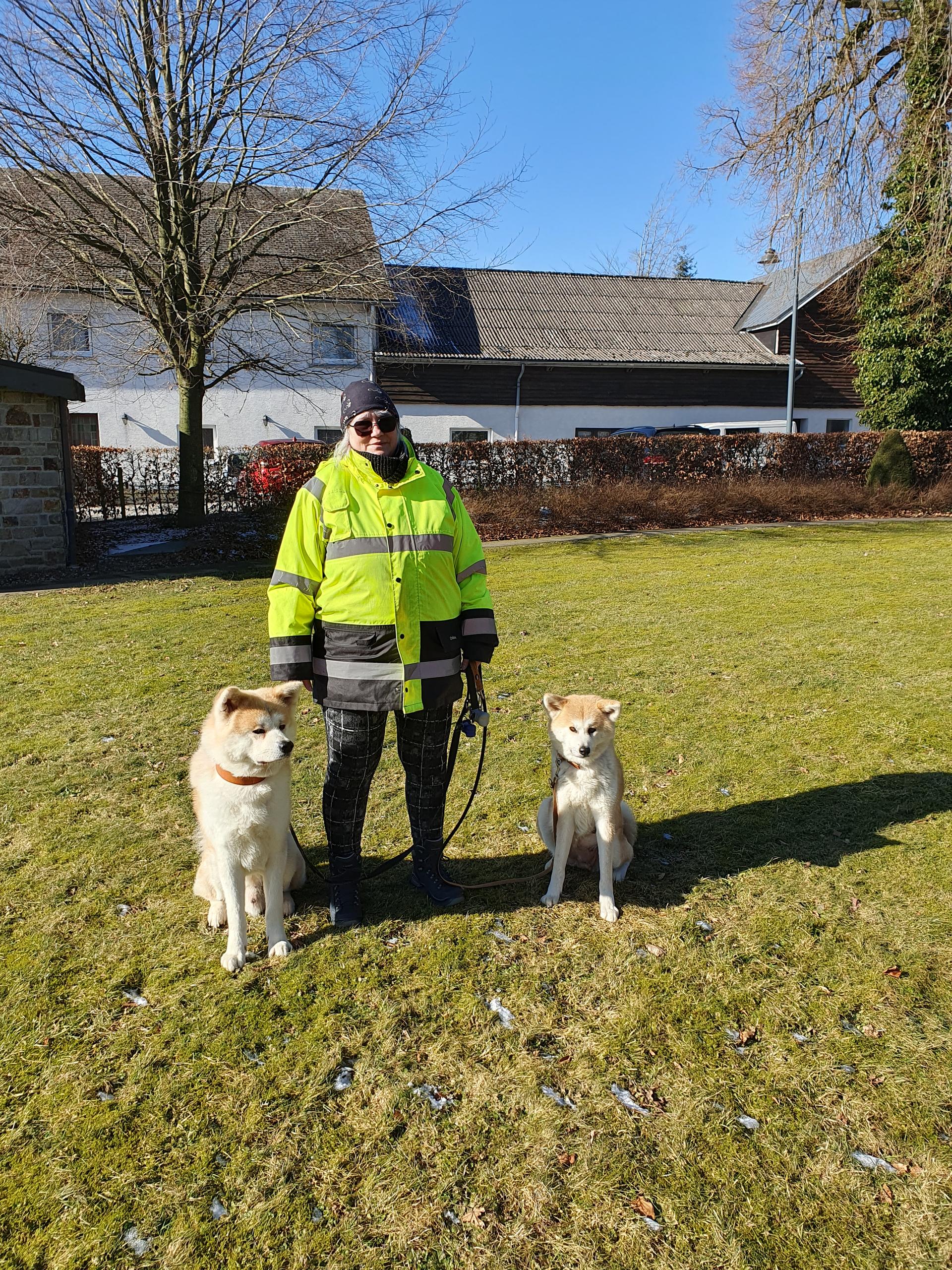 Akitaostbelgien Go Haiben Shunzansou
