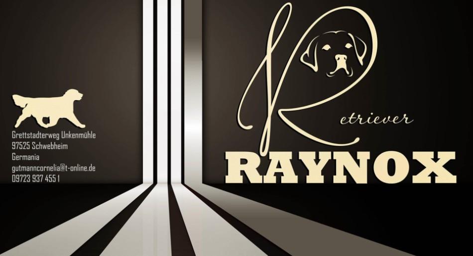 Golden Retriever und Labrador Retriever Zucht seit 1996.