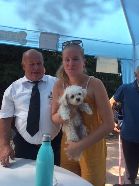 Bolonka Zwetna vom Sebnitztal