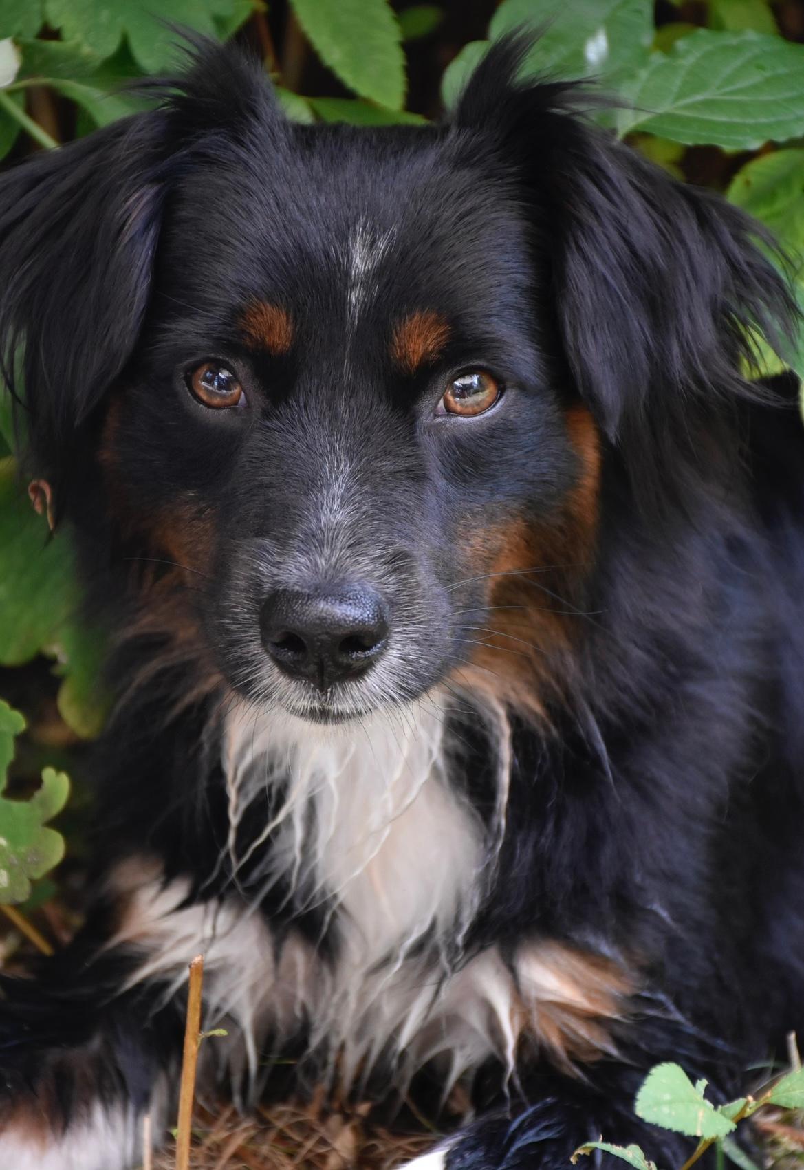 Million Dollar Ranch