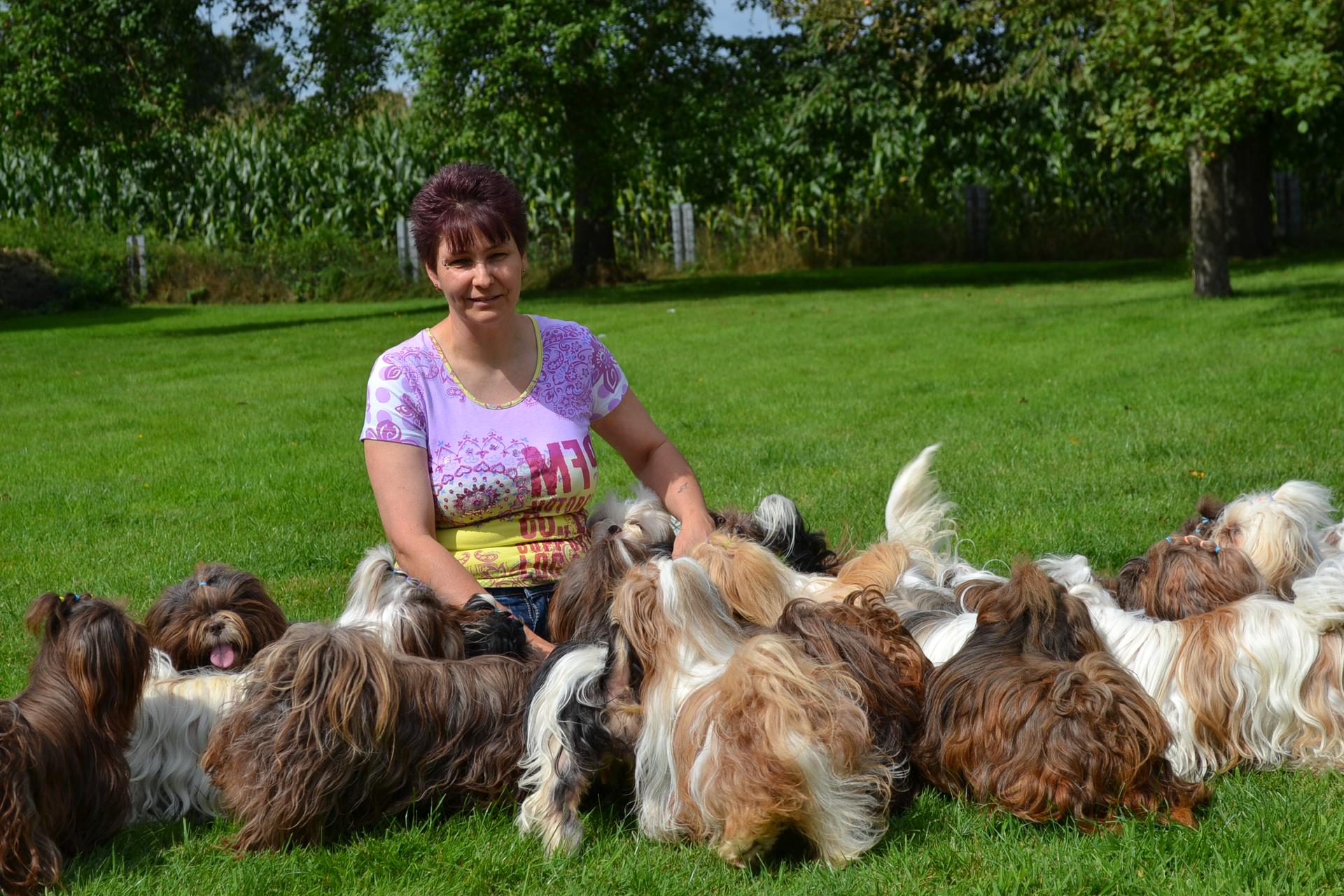 Shih Tzu vom Eulenpark