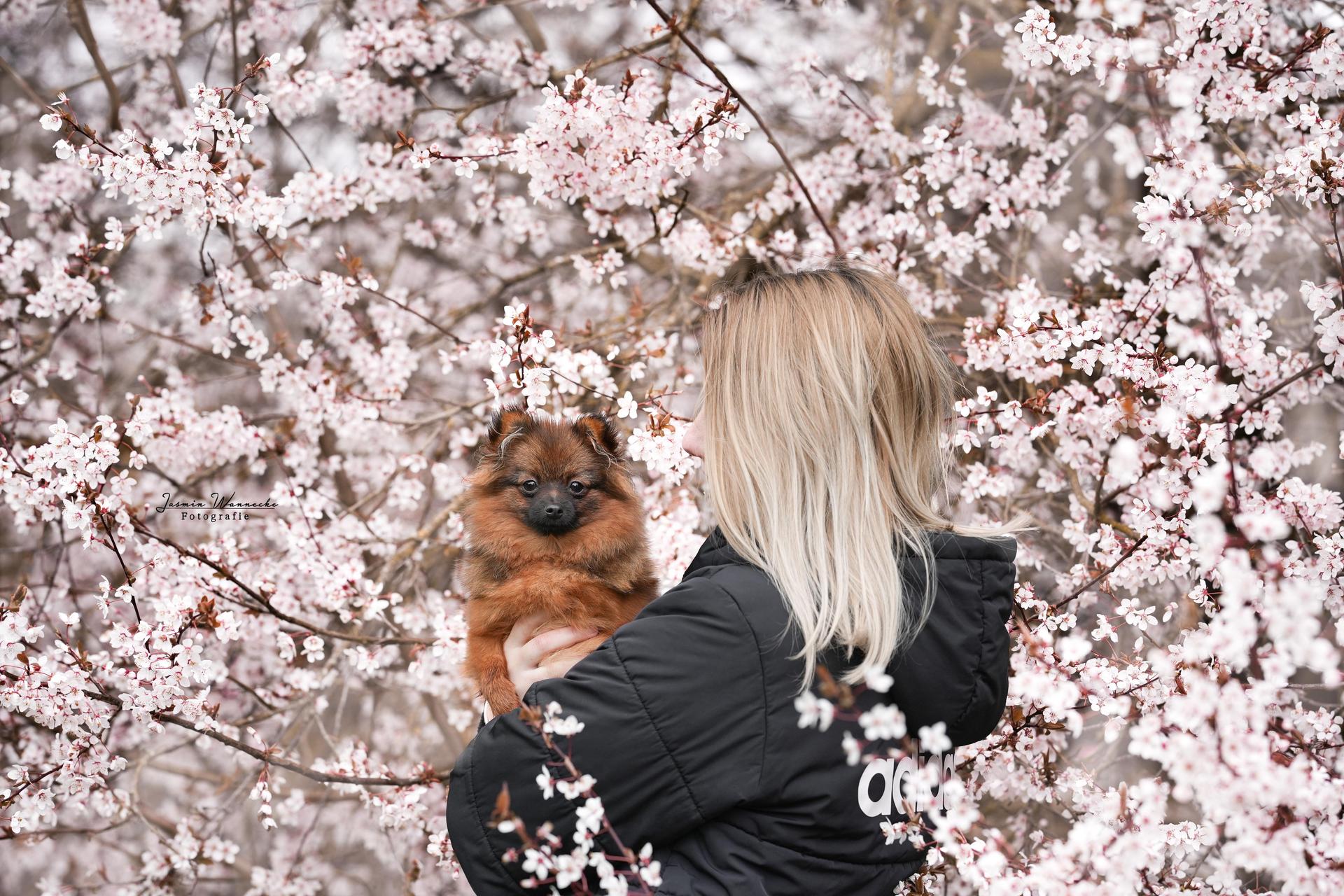 Von den Funkelzwergen