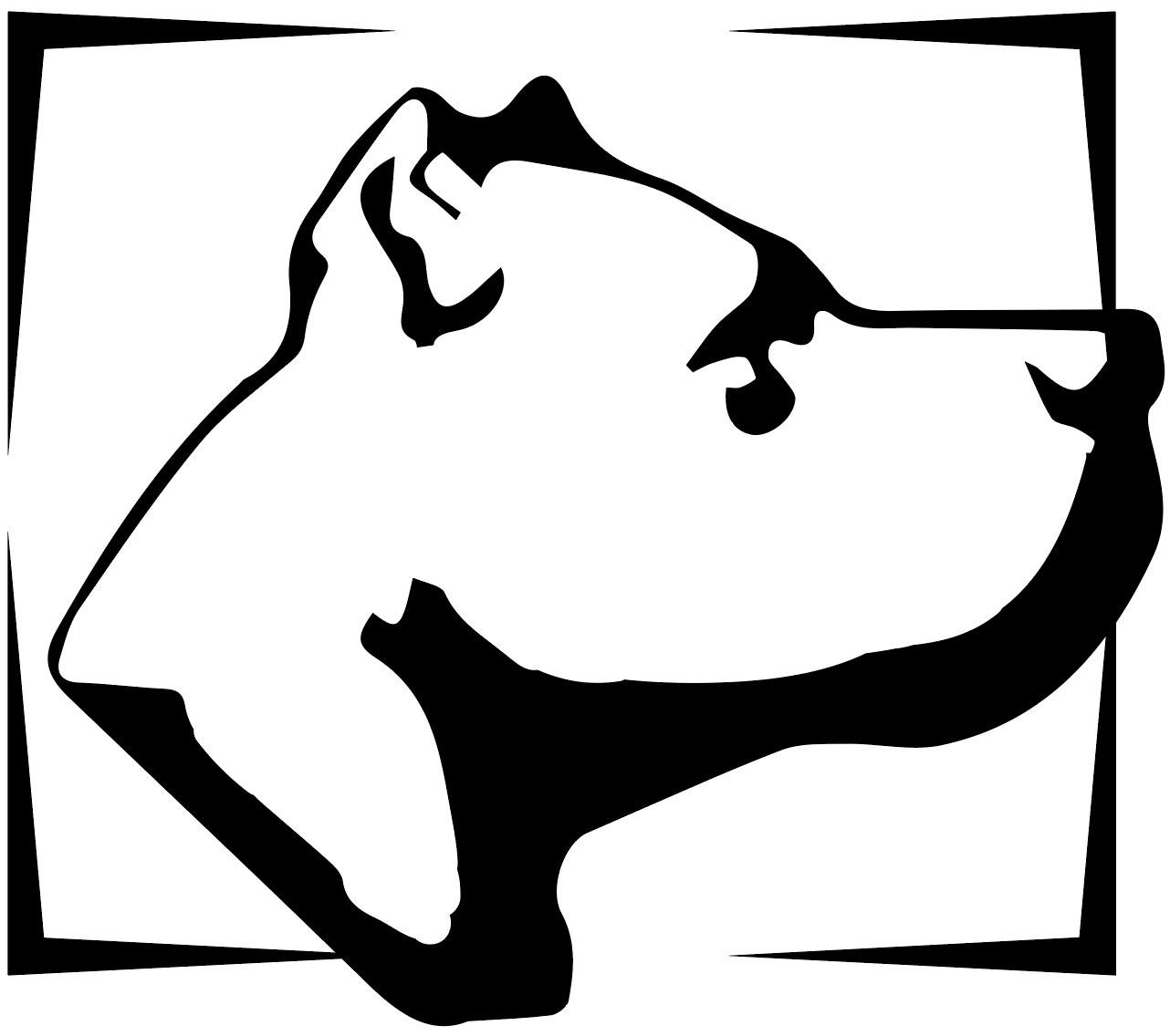 Dogo Argentino Züchter