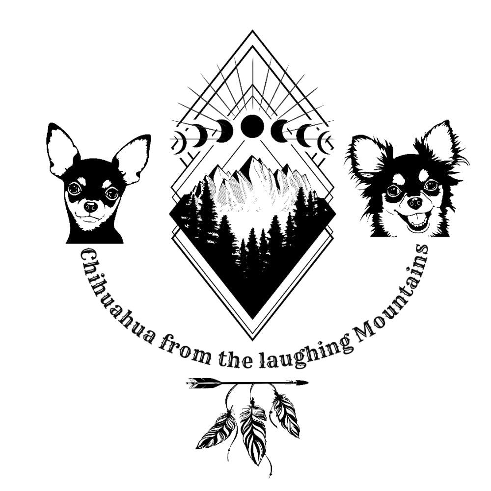 Chihuahua Zucht from the laughing Mountains 