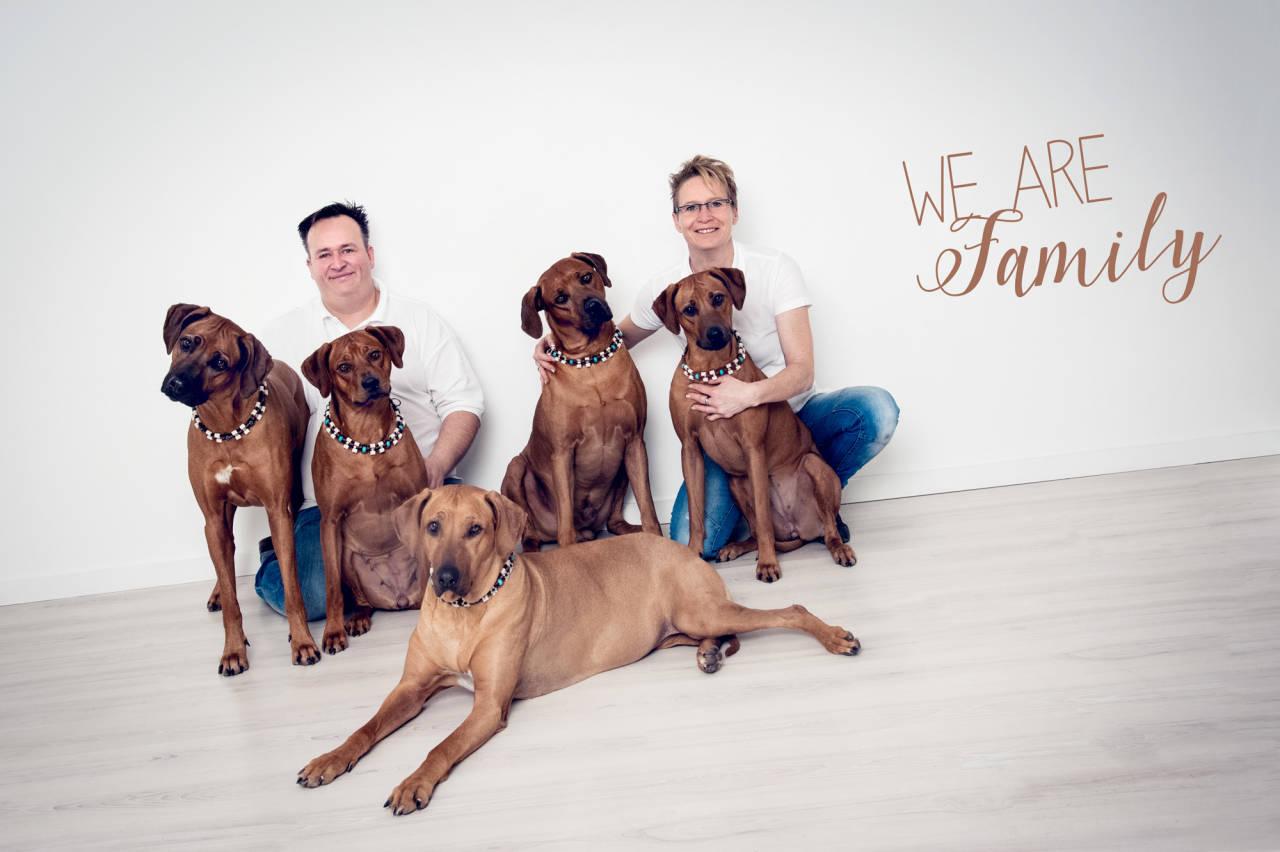 Mashambani Rhodesian Ridgebacks
