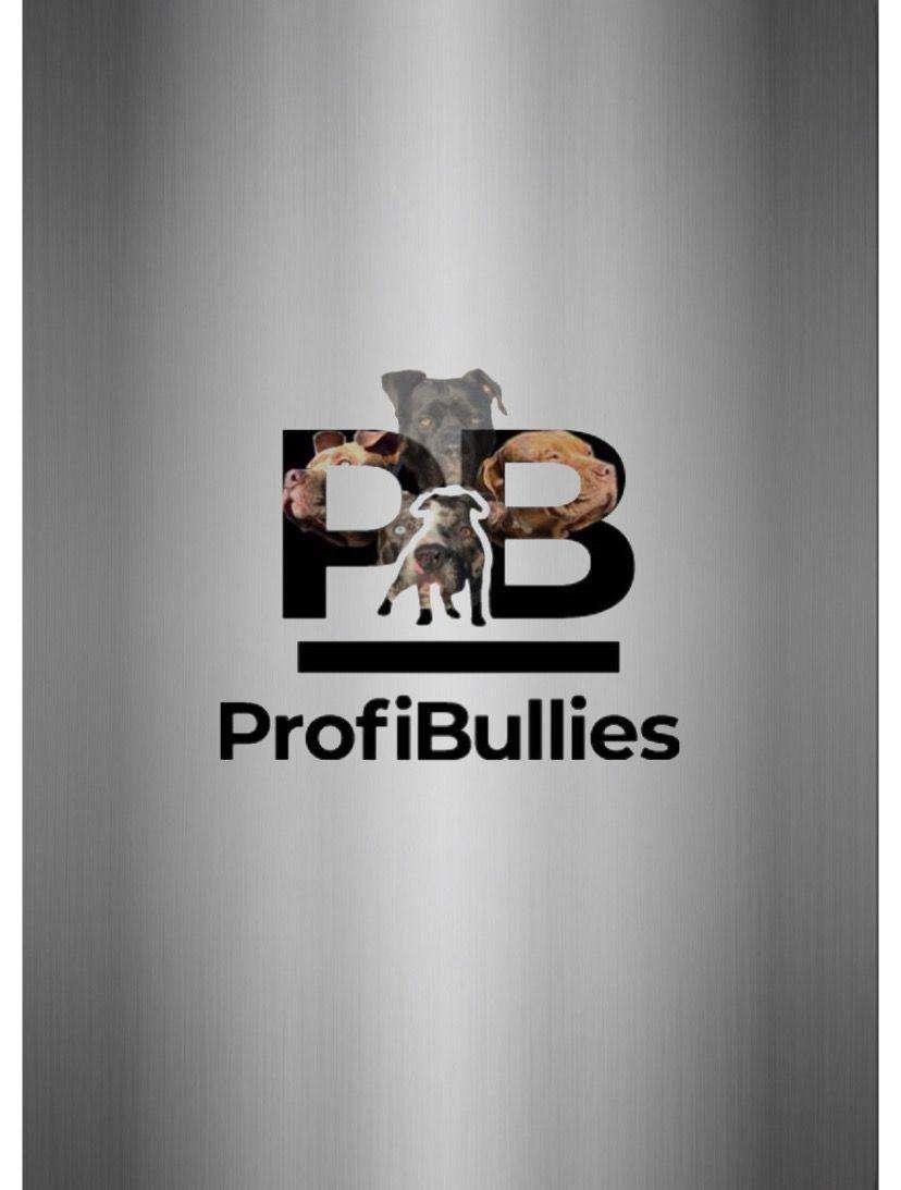 ProfiBullies