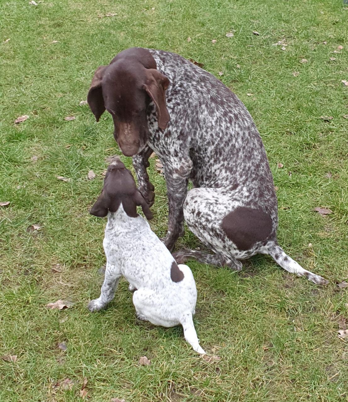 DK vom Näpfchenstein 