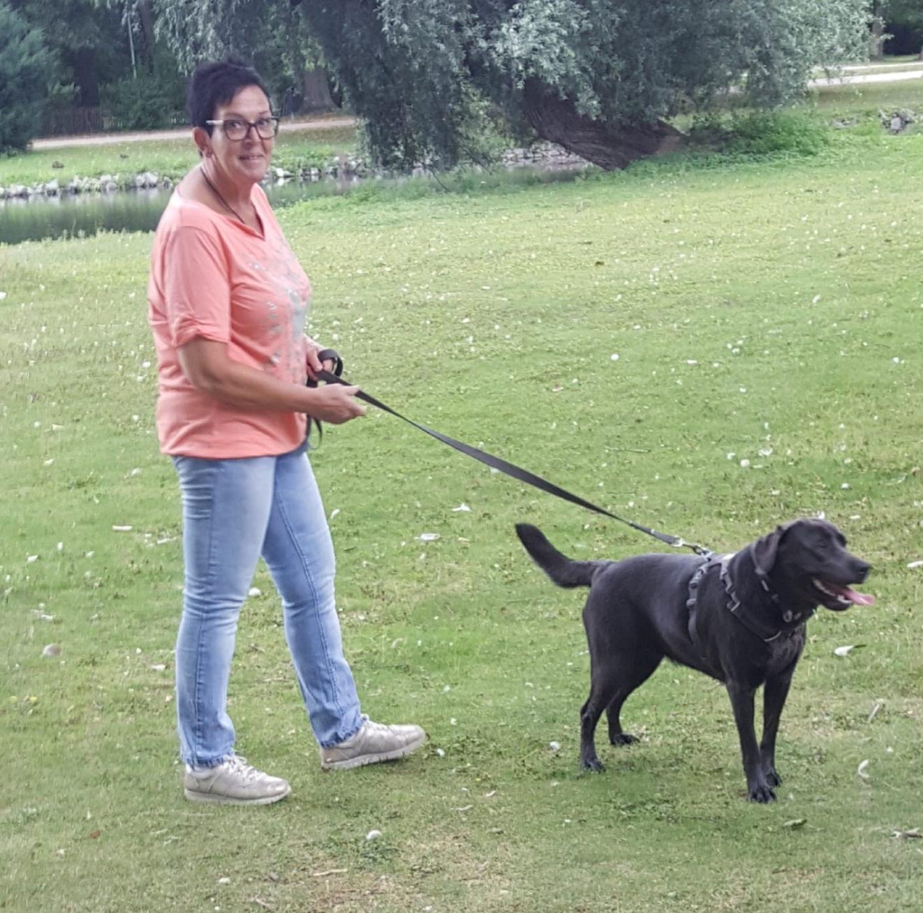 Labradore von der Silberaue 