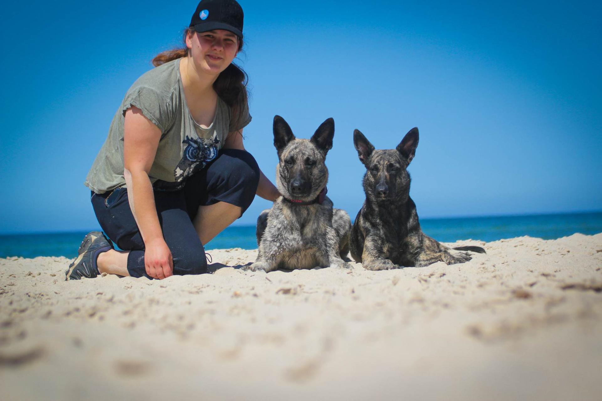 Holländische Schäferhunde od Zlaté Sovy