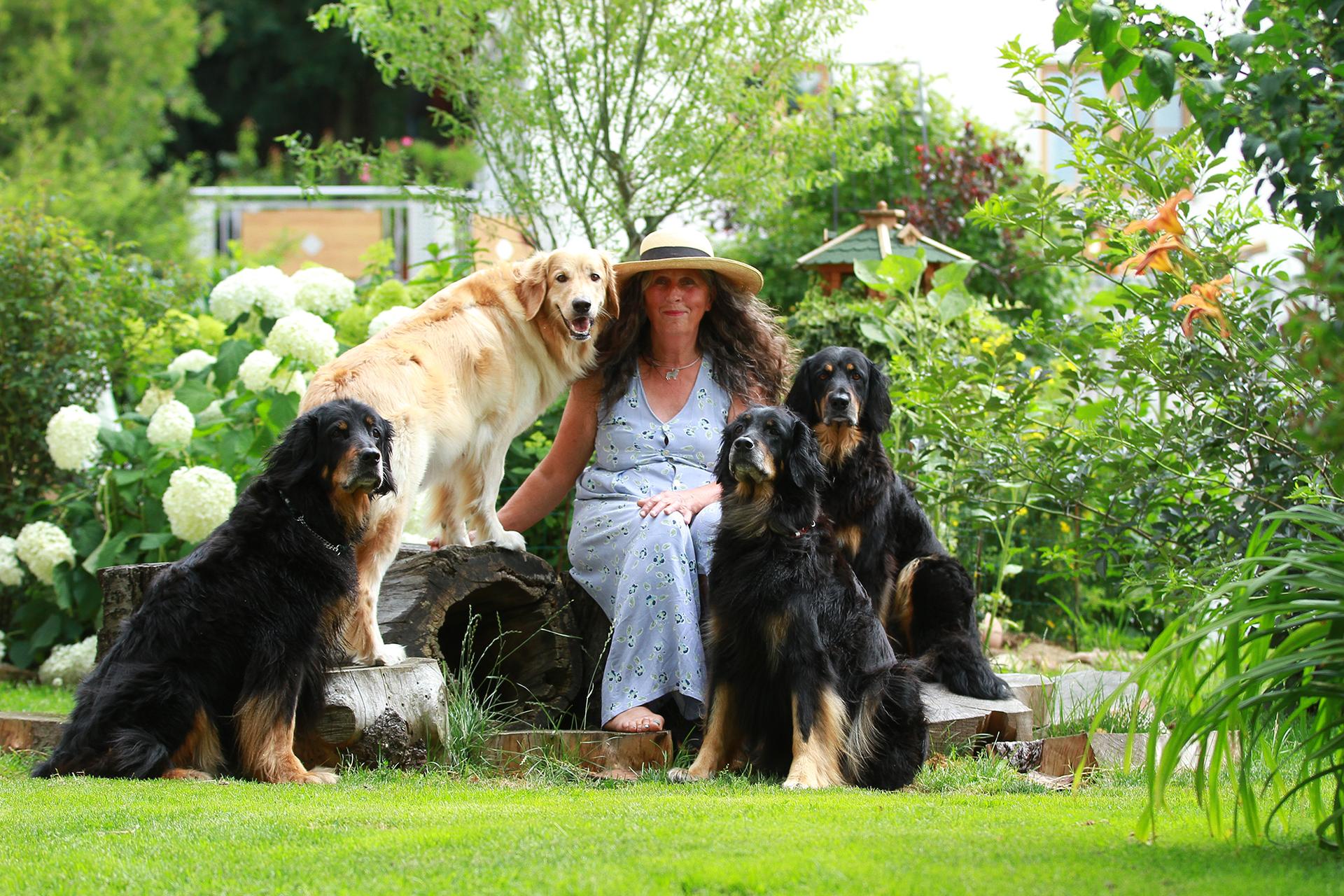 Hovawarte von der Wassernixe