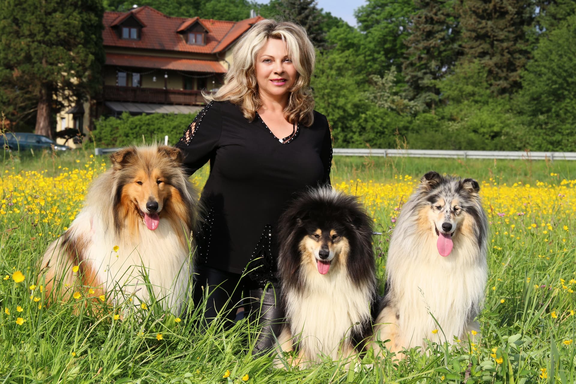 Forever mind Collies im Herzen Bayerns