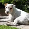 Always Jumper profile