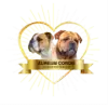 Aureum Cordis profile