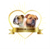 Aureum Cordis profile