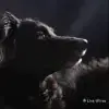 Live Wire’s profile