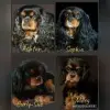 Cavaliere of Rose Village profile