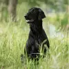 Summercastle’s profile