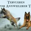 vom Annweilerer Tal profile