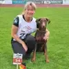 vom Diamantenherz profile