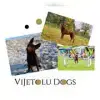 VIJETOLU profile