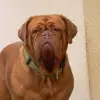 du petit éclat de Lolo profile