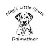 Magic Little Spots profile