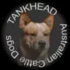 Tankhead profile