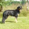 vom Reet profile