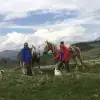 von den Ulrichsbruchzwillingen profile