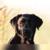 Welcome To Your Life profile