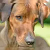SunSeaBar’s profile