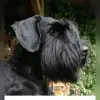von Ann-Chateau profile
