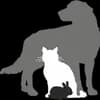 Tierschutzverein Schwabach e.V. Logo
