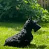 Scottish Terrier Little Jumpers  profile