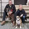 von den Feuerelfen profile