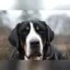 von den Milan Höhen profile