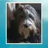 Our Own Surprise profile