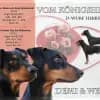 vom Königsherz profile