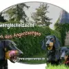 von den Angerzwergen profile