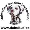 aus dem Leopoldstal profile