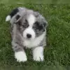 Trulyawesome profile