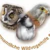 Ehrenamtliche Wildvogelhilfe e.V. Logo
