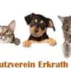 Tierschutzverein Erkrath e.V. Logo