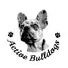 Active Bulldogs profile
